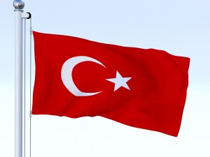 animated turkey flag Modelo 3D