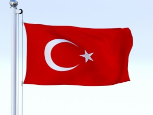 animated turkey flag 3D 模型