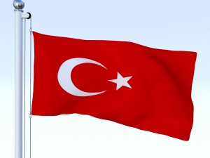 animated turkey flag 3D 模型