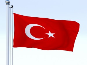 animated turkey flag 3D 模型