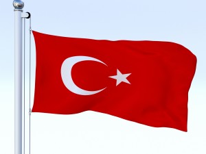 animated turkey flag 3D 模型