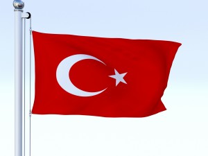 animated turkey flag 3D 模型