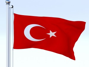 animated turkey flag 3D 模型