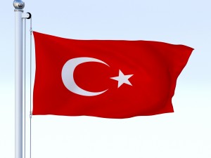 animated turkey flag 3D 模型