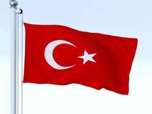 animated turkey flag 3D 模型