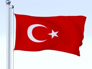 animated turkey flag 3D 模型