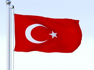 animated turkey flag 3D 模型