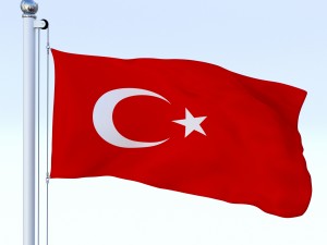 animated turkey flag 3D 模型