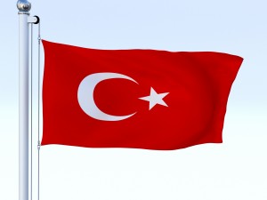 animated turkey flag 3D 模型