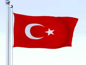 animated turkey flag 3D Model