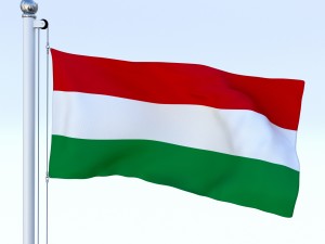 animated hungary flag 3D Model