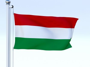 animated hungary flag 3D Model