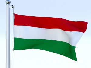animated hungary flag 3D Model