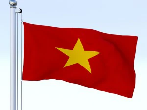 animated vietnam flag 3D Model