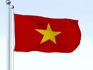 animated vietnam flag 3D Model
