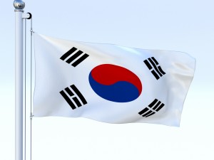 animated south korea flag Modello 3D