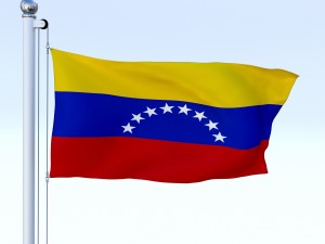 animated venezuela flag 3D Model
