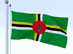 animated dominica flag 3D मॉडल