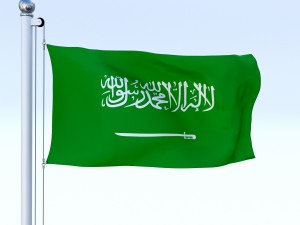 animated saudi arabia flag 3Dモデル