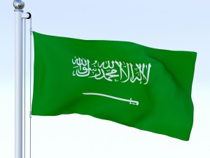 animated saudi arabia flag 3Dモデル