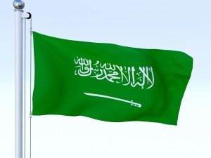 animated saudi arabia flag 3Dモデル