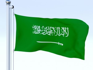 animated saudi arabia flag 3Dモデル