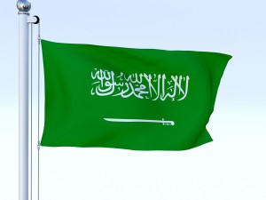 animated saudi arabia flag 3Dモデル