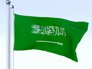 animated saudi arabia flag 3Dモデル
