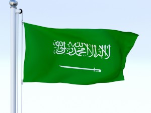 animated saudi arabia flag 3Dモデル