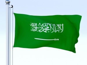 animated saudi arabia flag 3Dモデル