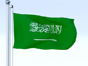 animated saudi arabia flag 3Dモデル