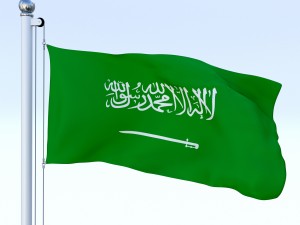 animated saudi arabia flag 3Dモデル