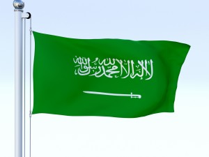 animated saudi arabia flag 3Dモデル