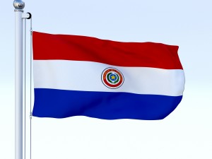 animated paraguay flag Modelo 3D