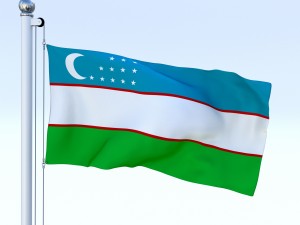 animated uzbekistan flag 3D Model