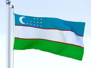 animated uzbekistan flag 3D Model