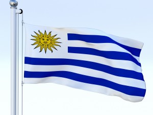 animated uruguay flag 3Dモデル