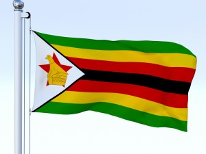 animated zimbabwe flag 3D 模型
