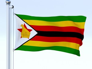 animated zimbabwe flag 3D 模型