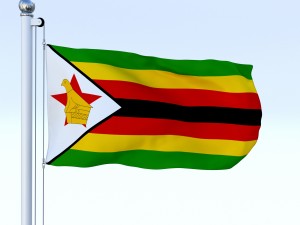 animated zimbabwe flag 3D 模型