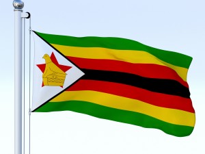 animated zimbabwe flag 3D 模型