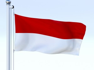 animated indonesia flag Model 3D