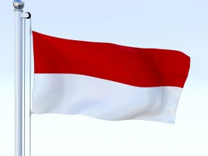 animated indonesia flag 3D Model
