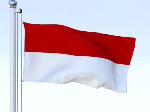 animated indonesia flag 3D Model