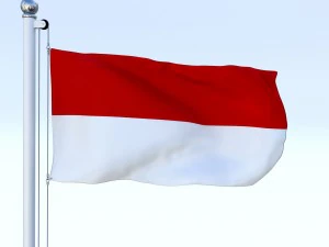 animated indonesia flag 3D Model