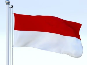 animated indonesia flag 3D Model