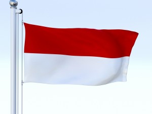 animated indonesia flag Model 3D