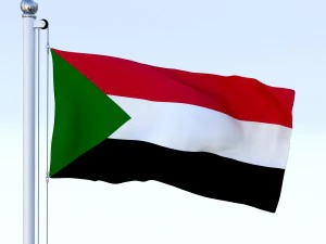 애니메이션 수단 국기 3D 모델