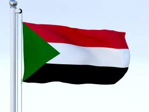 animated sudan flag 3D Model