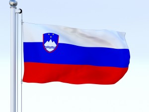 animated slovenia flag 3D Model